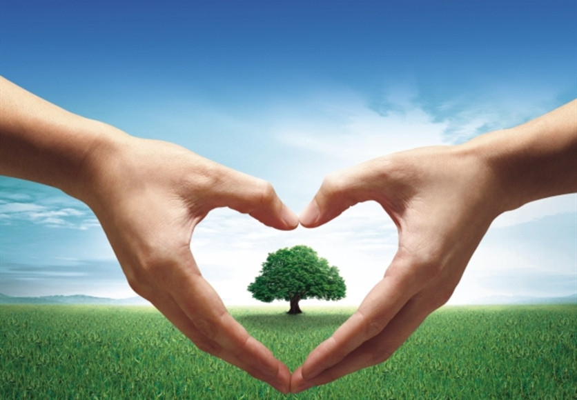 山東興源機(jī)械有限公司官網(wǎng)|起重機(jī)|行車|山東興源機(jī)械|單梁起重機(jī)|電動葫蘆|起重配件|www.coolclouds.net|xyqzj|xyqzj.com|興源起重機(jī)|興源|起重機(jī)行車|起重設(shè)備|起重機(jī)械